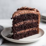 A tall slice of incredibly moist chocolate cake layered with thick chocolate frosting on a white plate.
